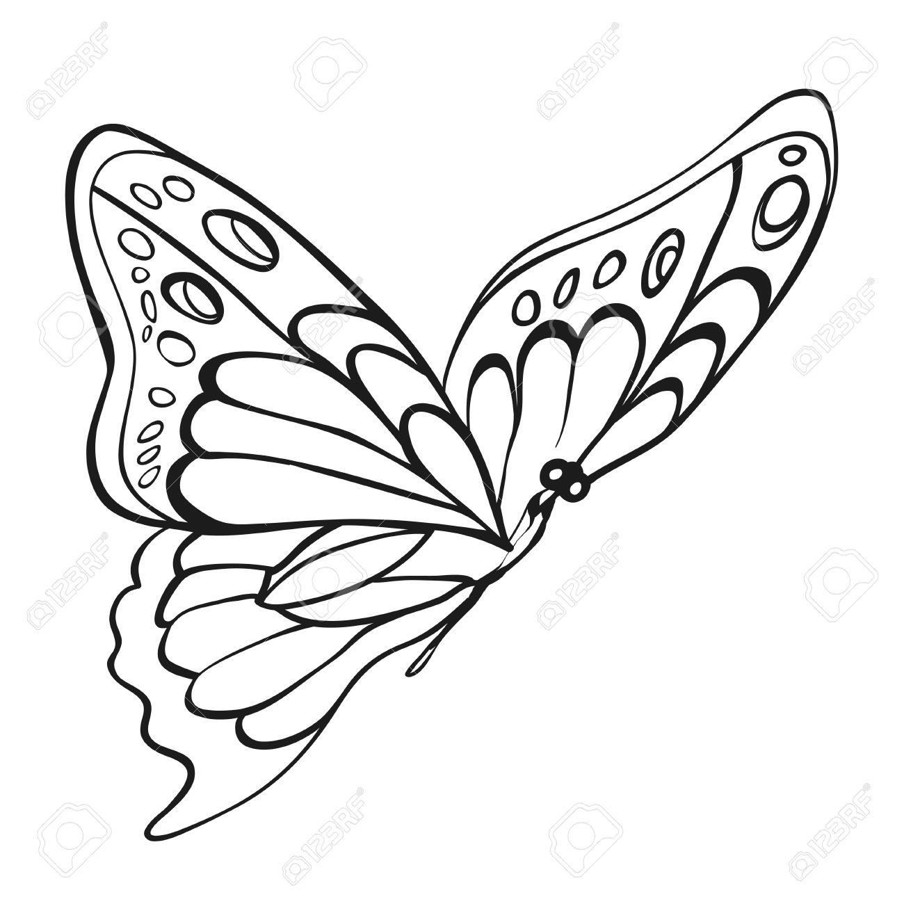 Beautiful monochrome butterfly sketch of insect for design and scrapbooking stock vector 39349173