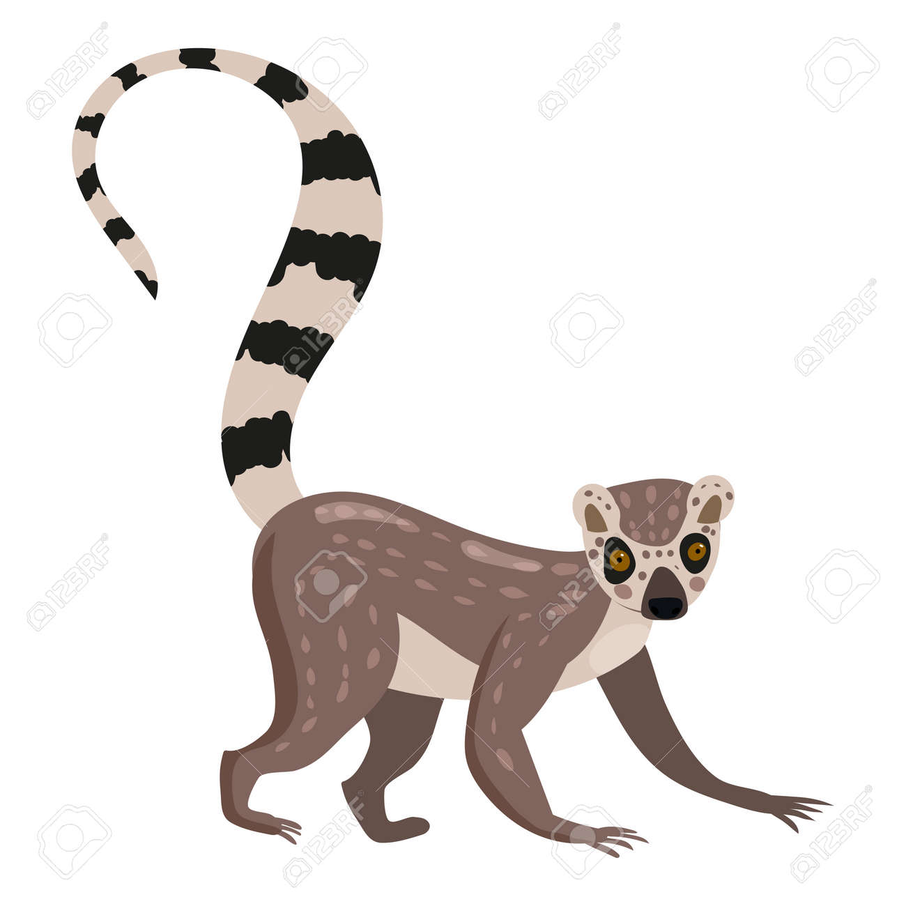 マダガスカルのキツネザル アート作品 【公式通販】