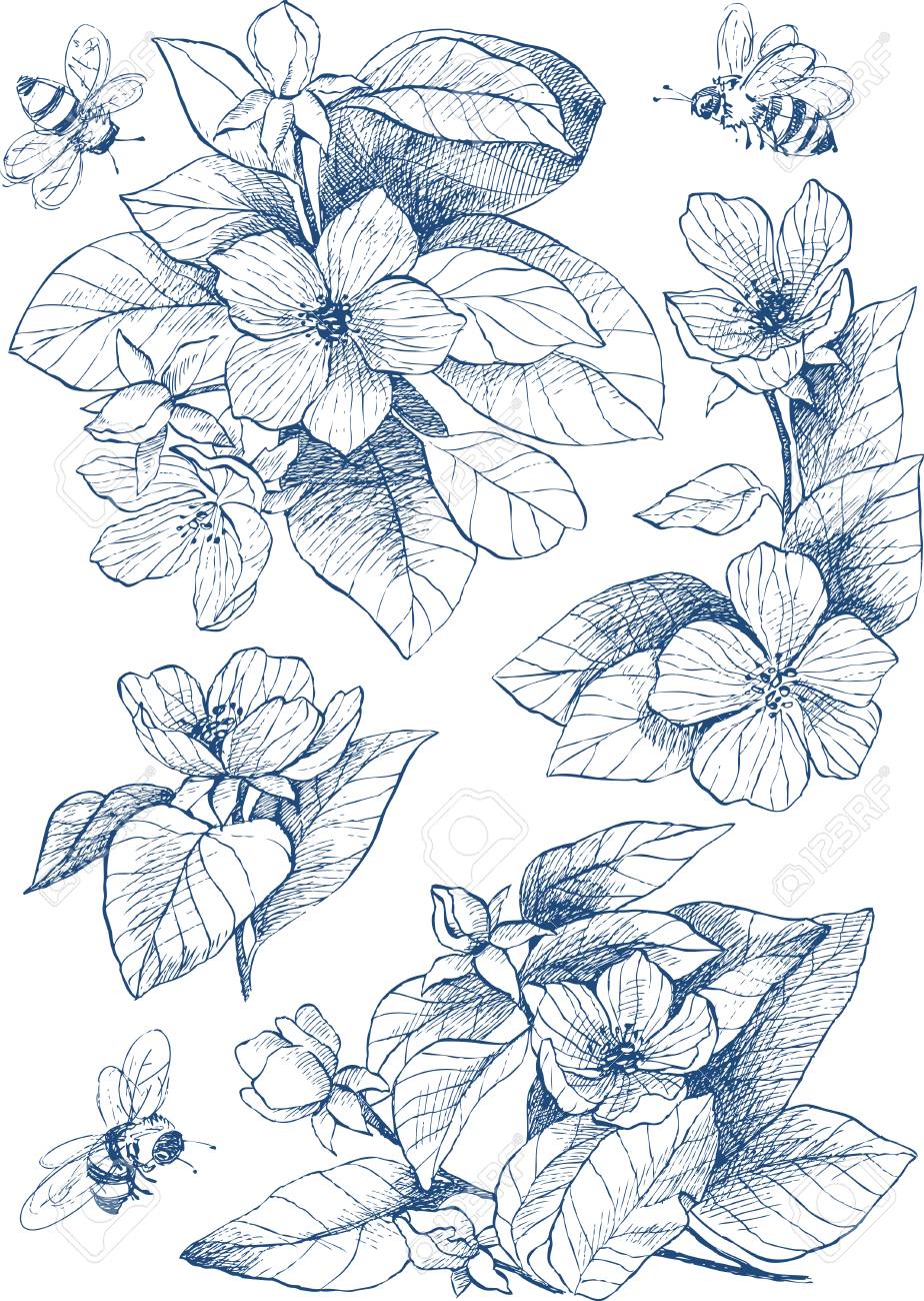 植物青色のトーンの設定イラストの詳細 彫刻スタイル 手の図面の図 ベクトル リンゴの木の花 のイラスト素材 ベクタ Image