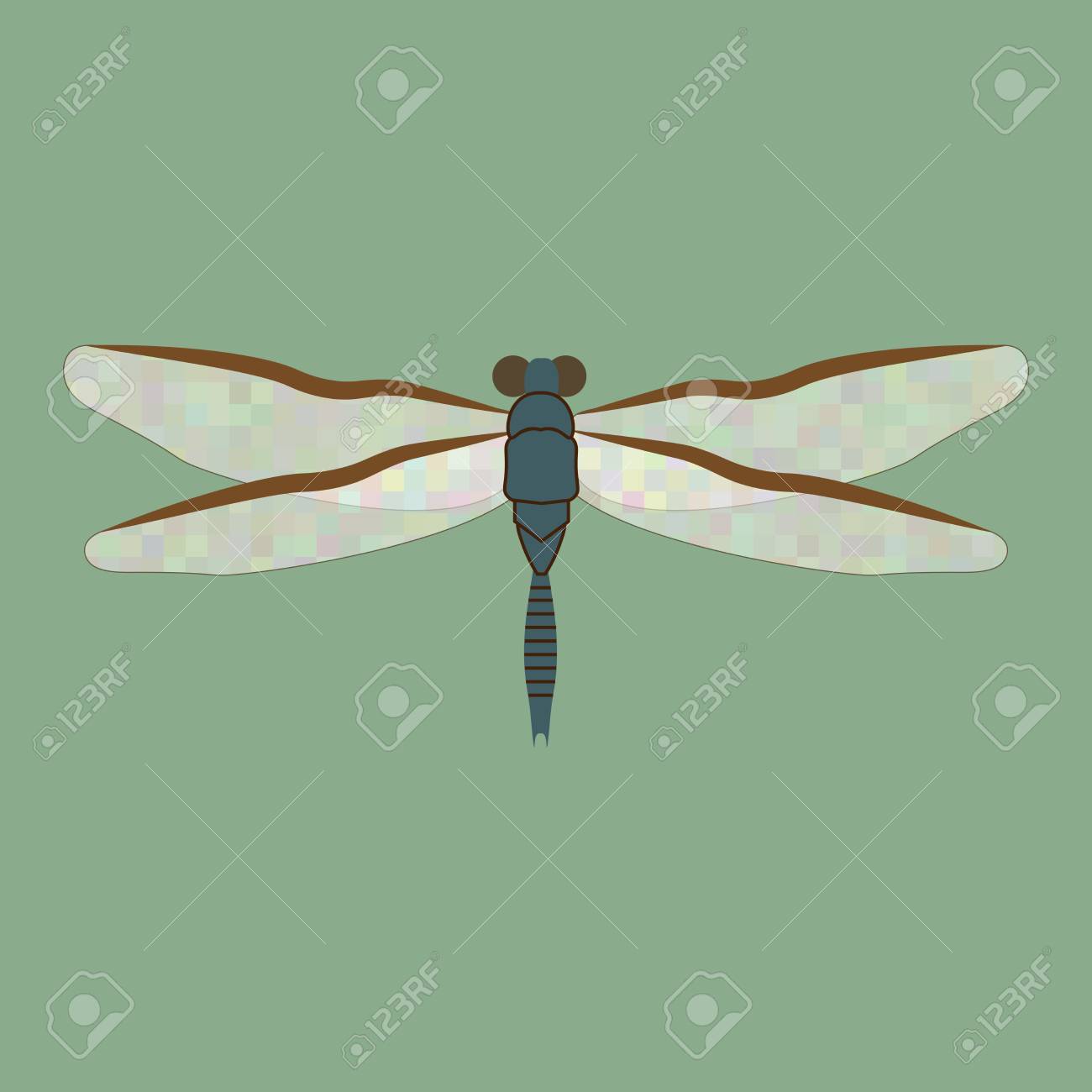 dragonfly sign pattern on green background fashion of summer