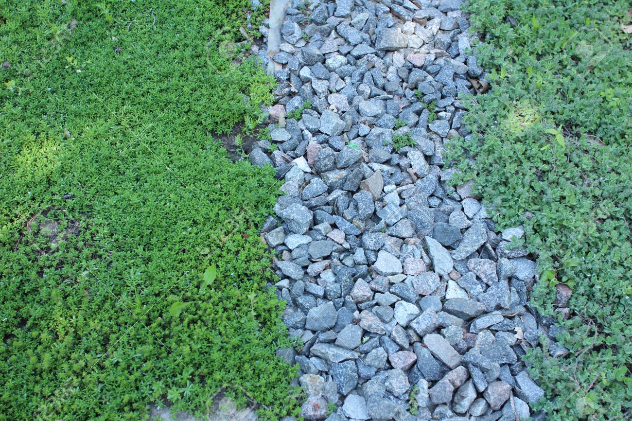 砂利道やセダム Hispanicum の芝生 の写真素材 画像素材 Image