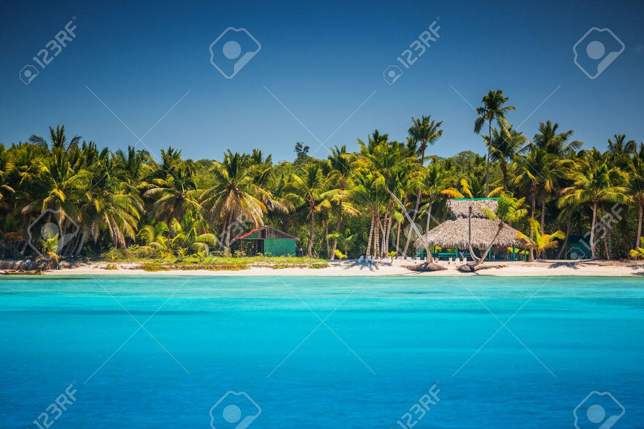 caribbean wild beach punta cana stock photo picture and royalty