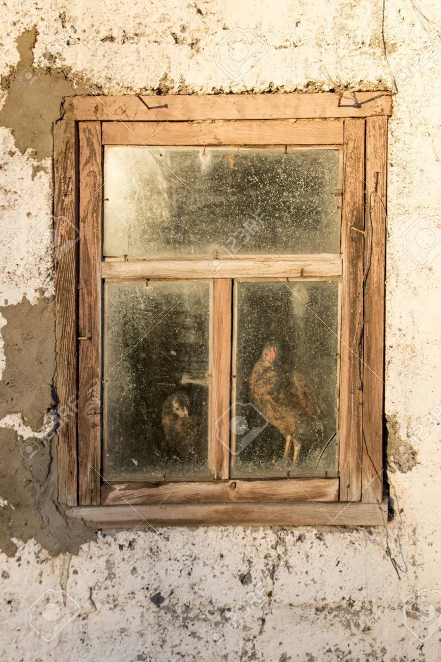 Window Rustic Chicken Coop