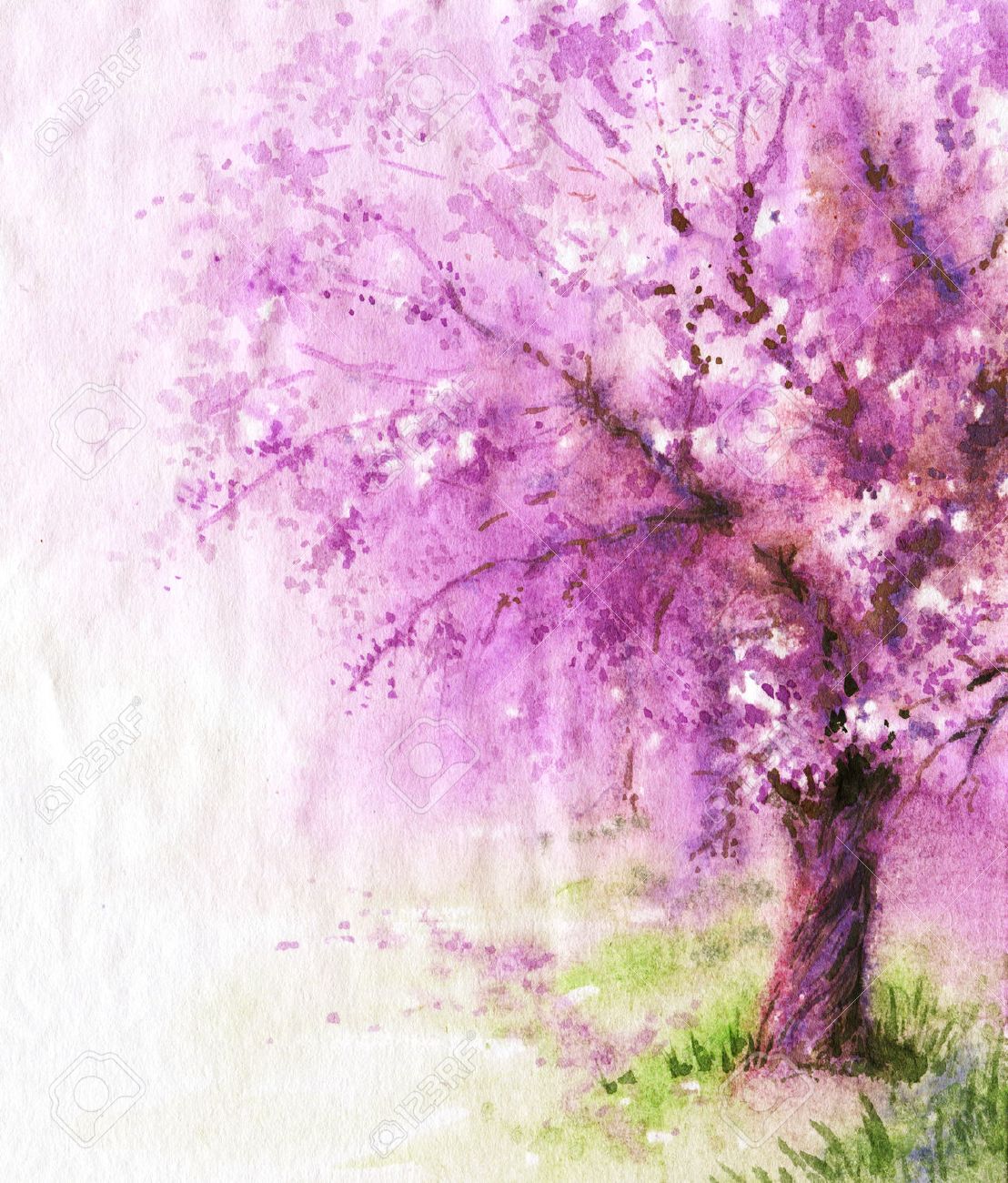Hand drawn watercolor illustration. Nature landscape. Spring background with pink blossoming sakura tree. - 52662115 Hand drawn watercolor illustration. Nature landscape. Spring background with pink blossoming sakura tree. - 52662115