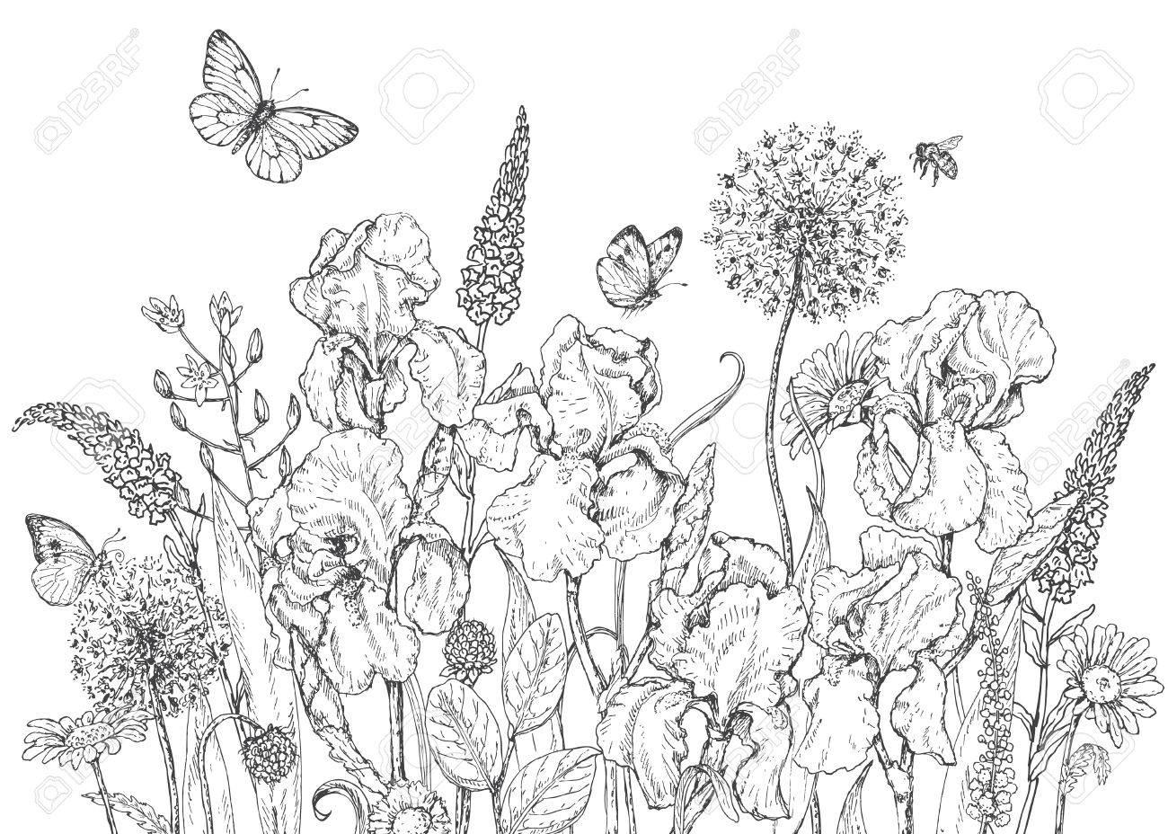 main illustration ligne tracee avec l iris les fleurs sauvages et insectes doodle noir blanc des abeilles papillons monochrome elements floraux coloriage vector croquis clip art animaux lego