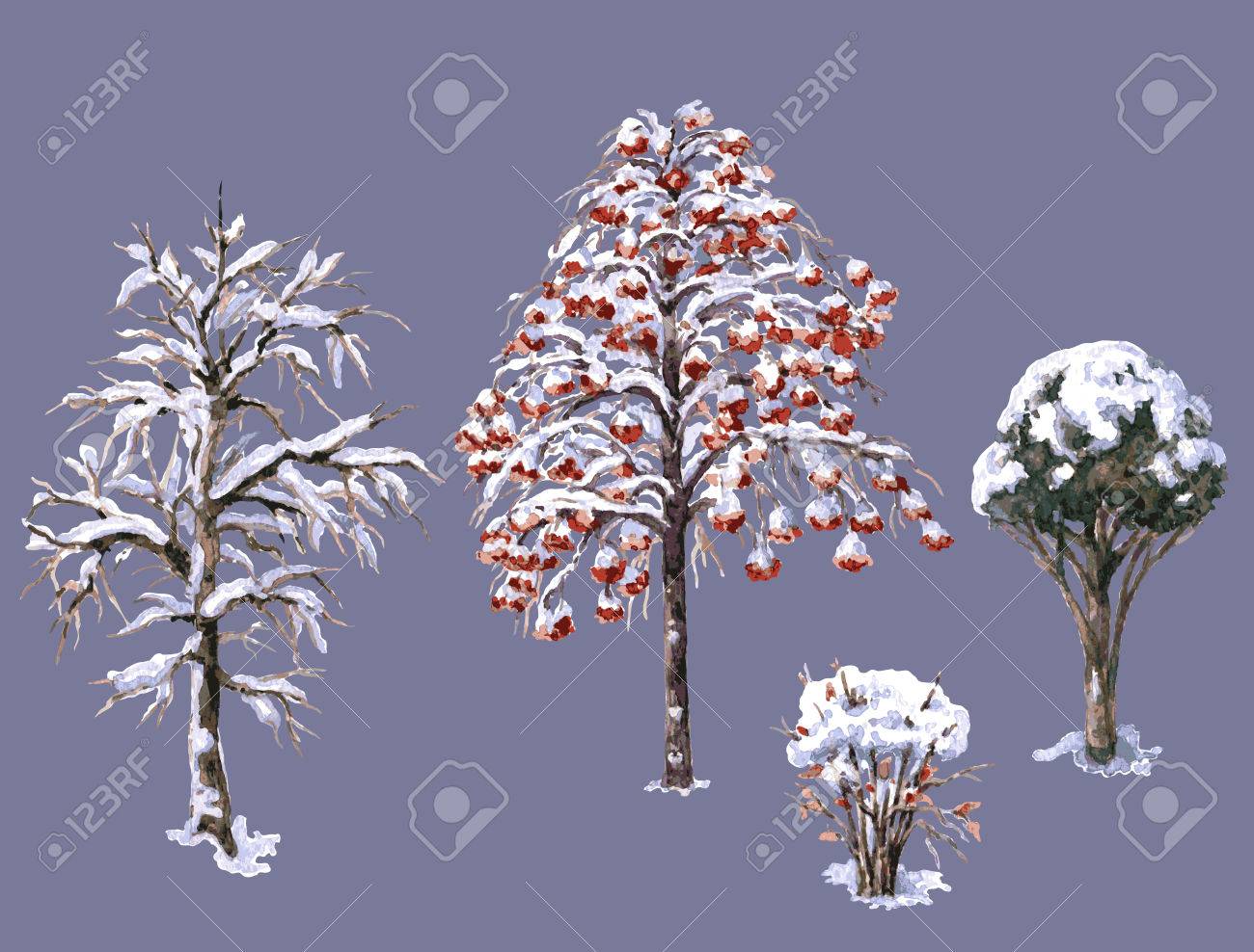 手描き水彩イラスト 様々 な冬の木や茂みのセットです 常緑樹と落葉樹雪に覆われた植物は 白で隔離 木や葉のない低木 のイラスト素材 ベクタ Image 手描き水彩イラスト 様々 な冬の木や茂みのセットです 常緑樹と落葉樹雪に覆われた植物は 白で隔離 木や葉のない低木 のイラスト素材 ベクタ Image