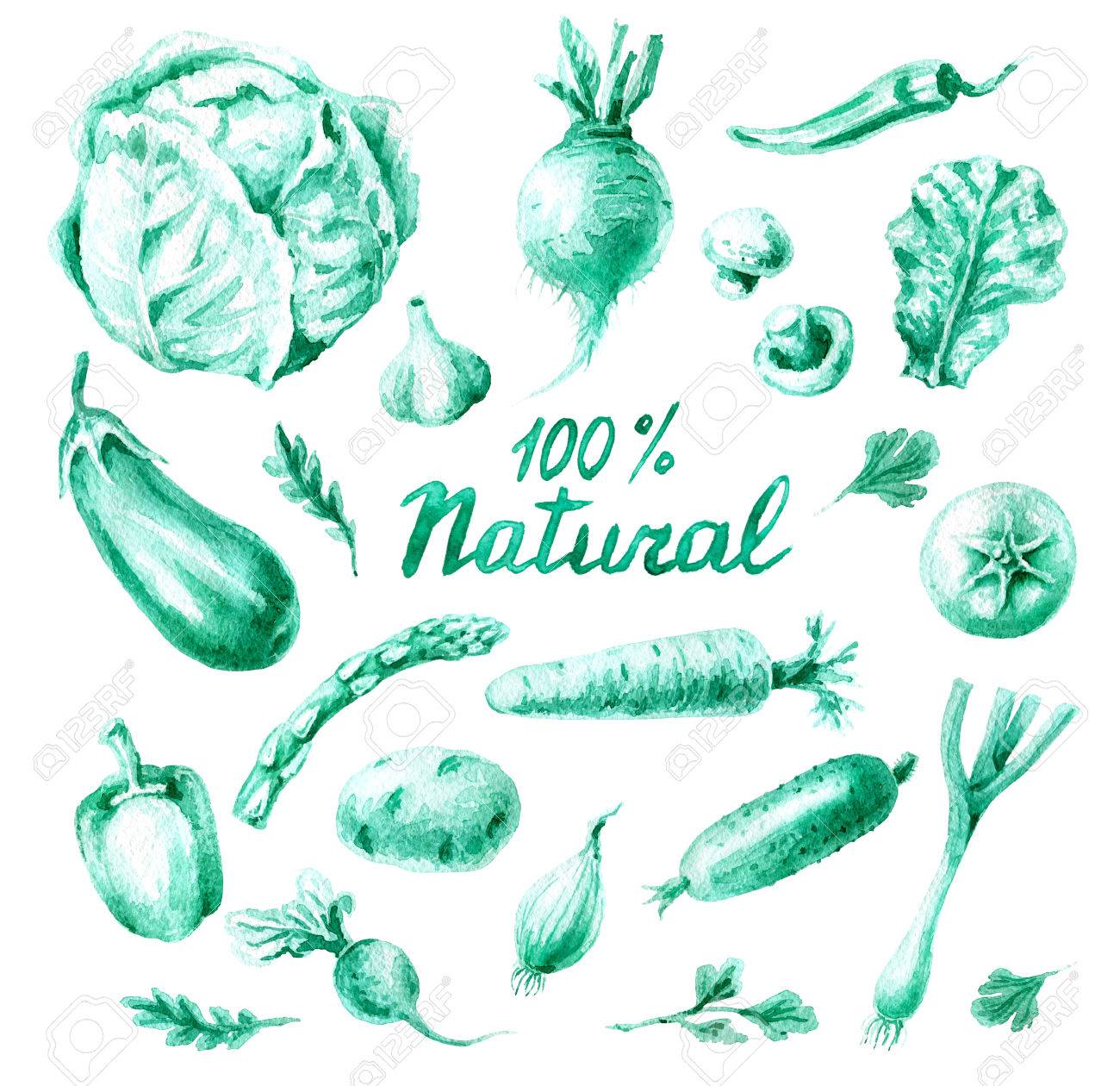 手描きの食べ物のイラストです 水彩モノクロ緑黄色野菜の分離の白い背景を設定します 有機食品 自然製品テーマ の写真素材 画像素材 Image 手描きの食べ物のイラストです 水彩モノクロ緑黄色野菜の分離の白い背景を設定します 有機食品 自然製品テーマ の写真素材 画像素材 Image