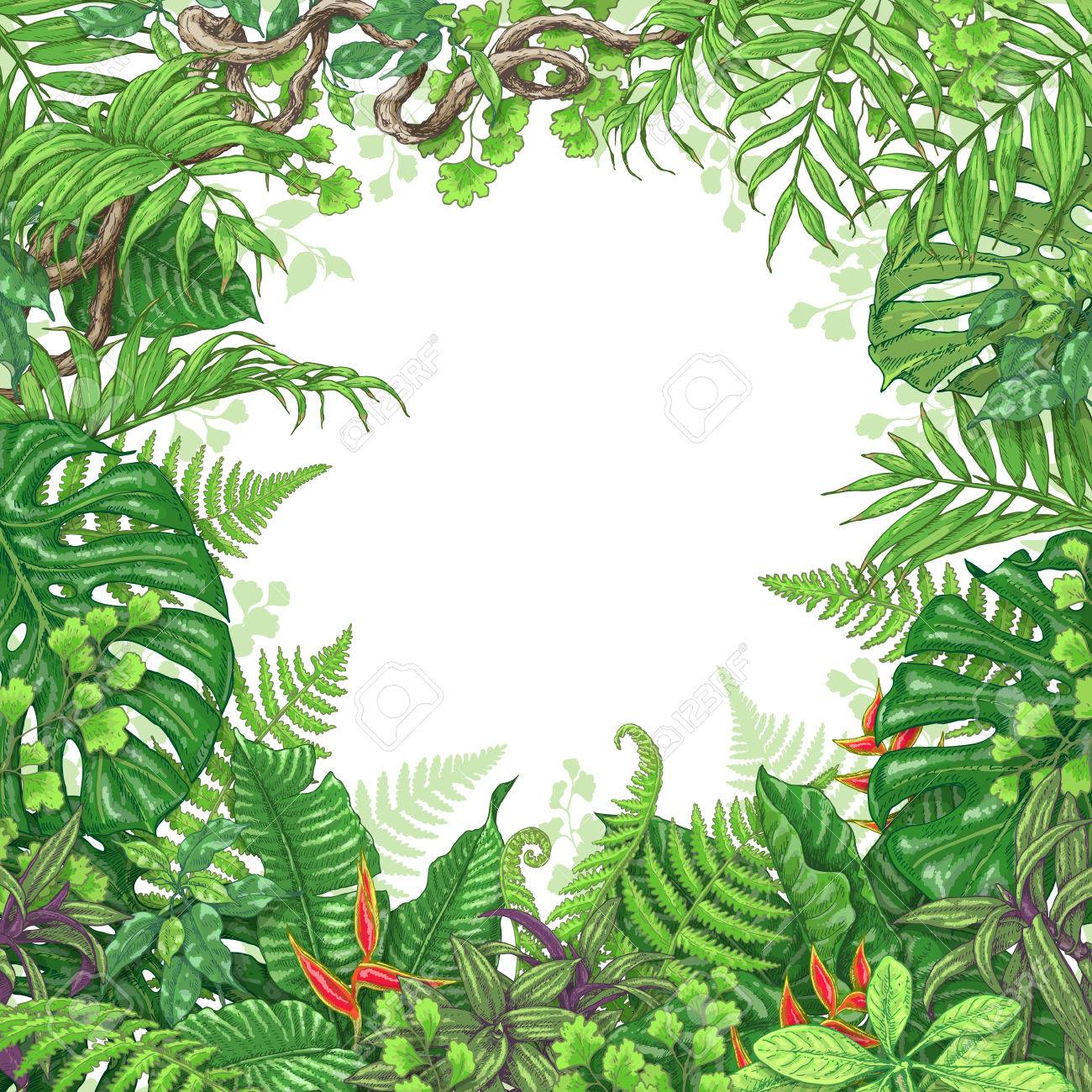 手描きは 枝や葉は熱帯植物の 赤い花と蔓の枝の鮮やかな正方形花のフレーム ベクター スケッチ テキストのためのスペース のイラスト素材 ベクタ Image 手描きは 枝や葉は熱帯植物の 赤い花と蔓の枝の鮮やかな正方形花のフレーム ベクター スケッチ テキストのためのスペース のイラスト素材 ベクタ Image