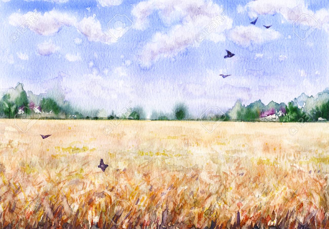 手描き水彩画。自然の風景。 小麦畑、雲、木々、空飛ぶ鳥と夏の農村の ...