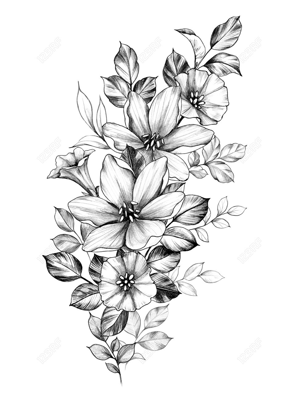 Hand Drawn Bouquet Of Flowers Isolated On White Background Pencil Stock Photo Picture And Royalty Free Image Image 127422173