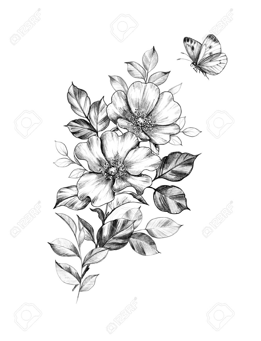 Hand Drawn Floral Bunch With Dog Rose Flowers And Leaves And