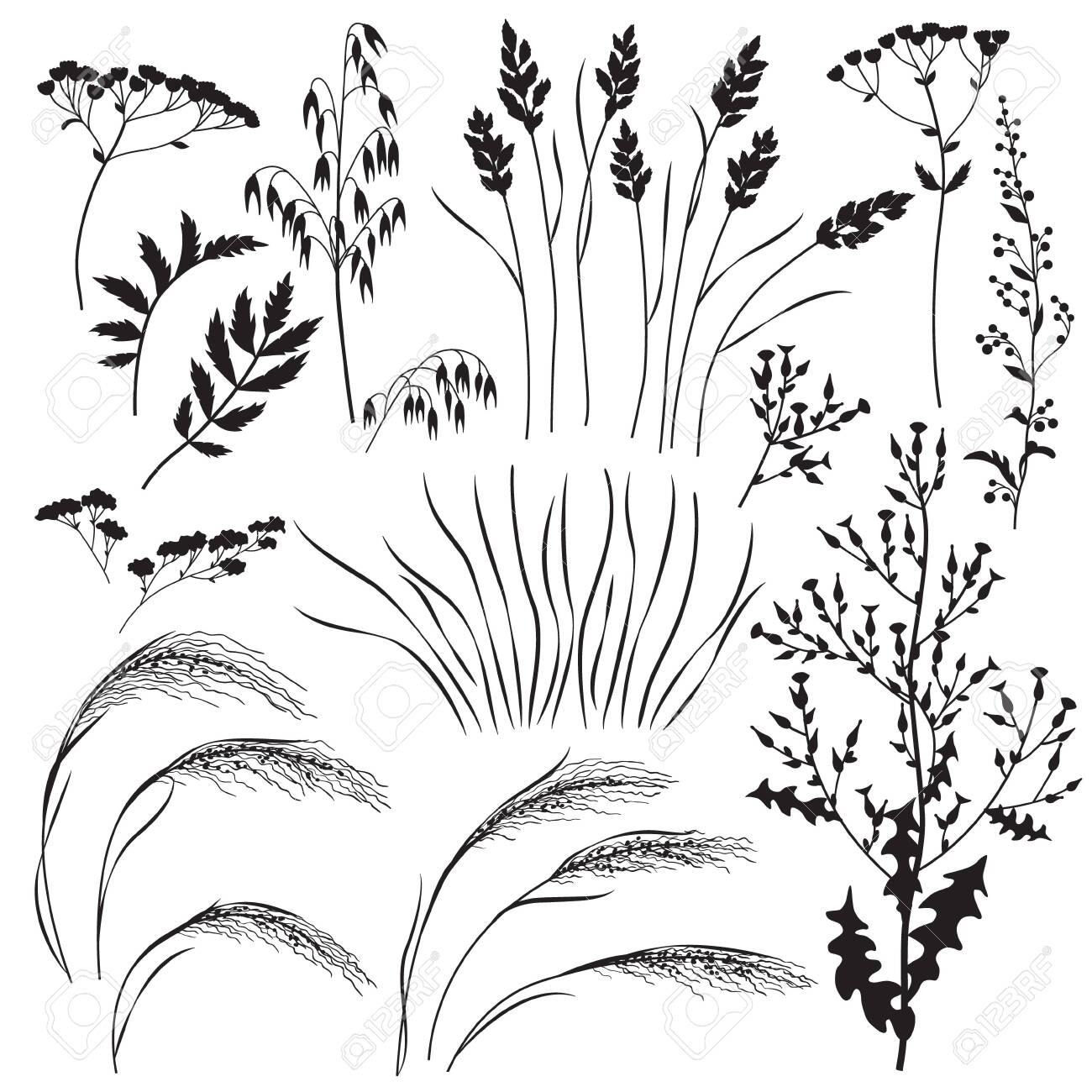 Silhouette Set Of Wild Grasses, Herbs And Cereals Isolated On White  Background. Simple Oats, Lettuce, Bluegrass, Sagebrush, Mat Grass And Field  Flowers Vector Flat Illustration. Royalty Free SVG, Cliparts, Vectors, and  Stock, image size:1300x1300
