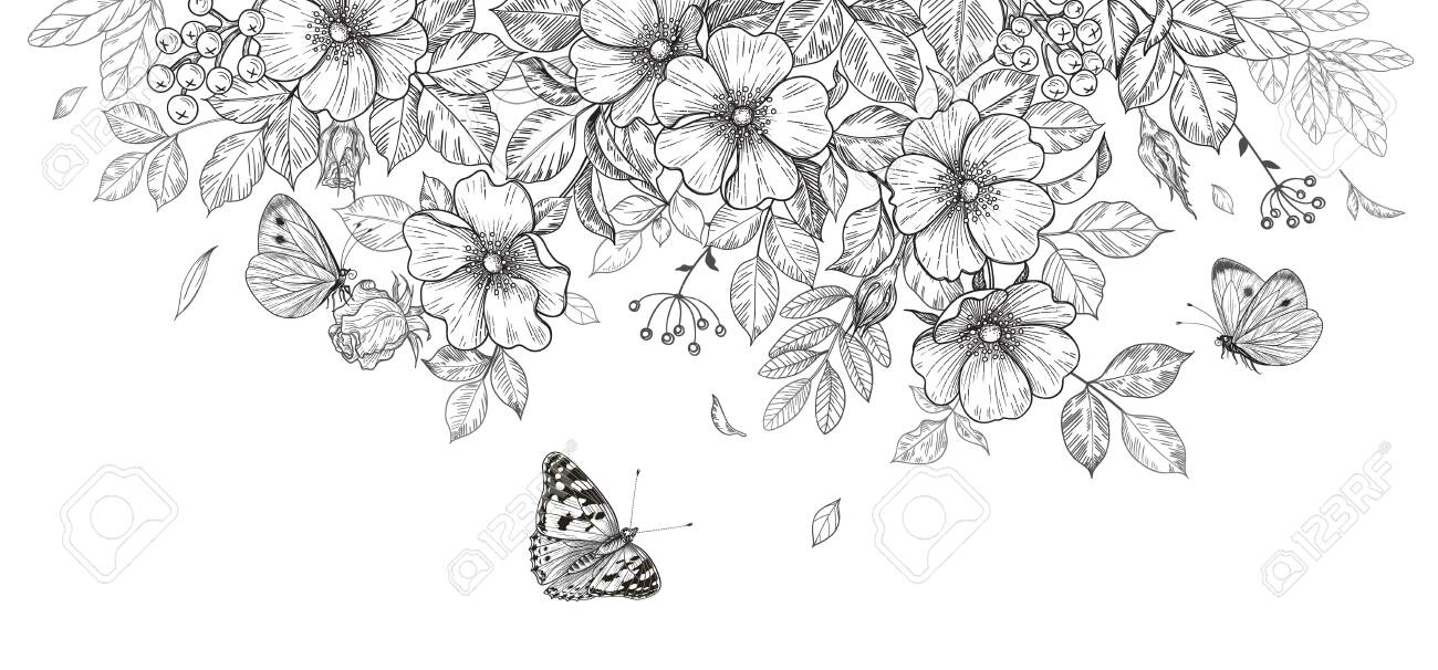 Fiori e farfalle in fiore disegnati a mano su sfondo bianco. fiori di campo e insetti in bianco e nero. composizione floreale elegante monocromatica vettoriale in stile vintage, decorazione di nozze modello. - 153720081 Fiori e farfalle in fiore disegnati a mano su sfondo bianco. fiori di campo e insetti in bianco e nero. composizione floreale elegante monocromatica vettoriale in stile vintage, decorazione di nozze modello. - 153720081