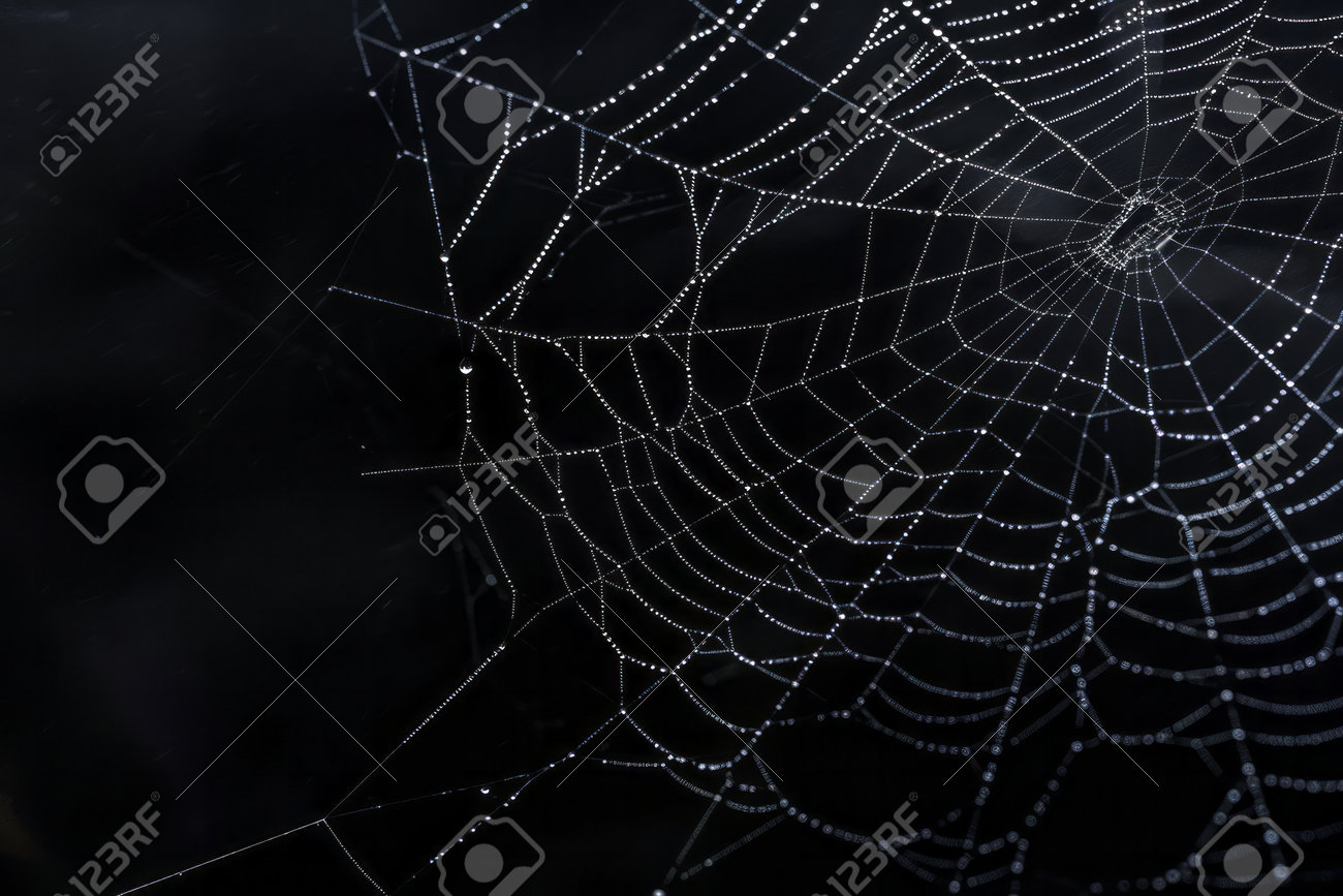 etiam-dictum-ipsum-a-felis