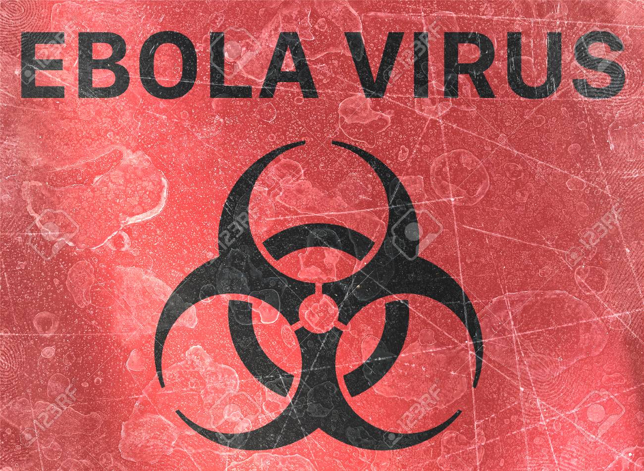 Bilderesultater for ebola virus"