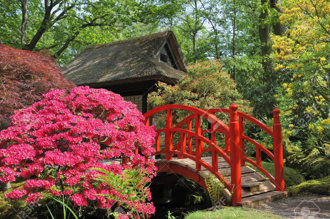 Red Japanese Garden Bridge japanese garden with flowers and red bridge stock photo, picture Red Japanese Garden Bridge japanese garden with flowers and red bridge stock photo, picture
