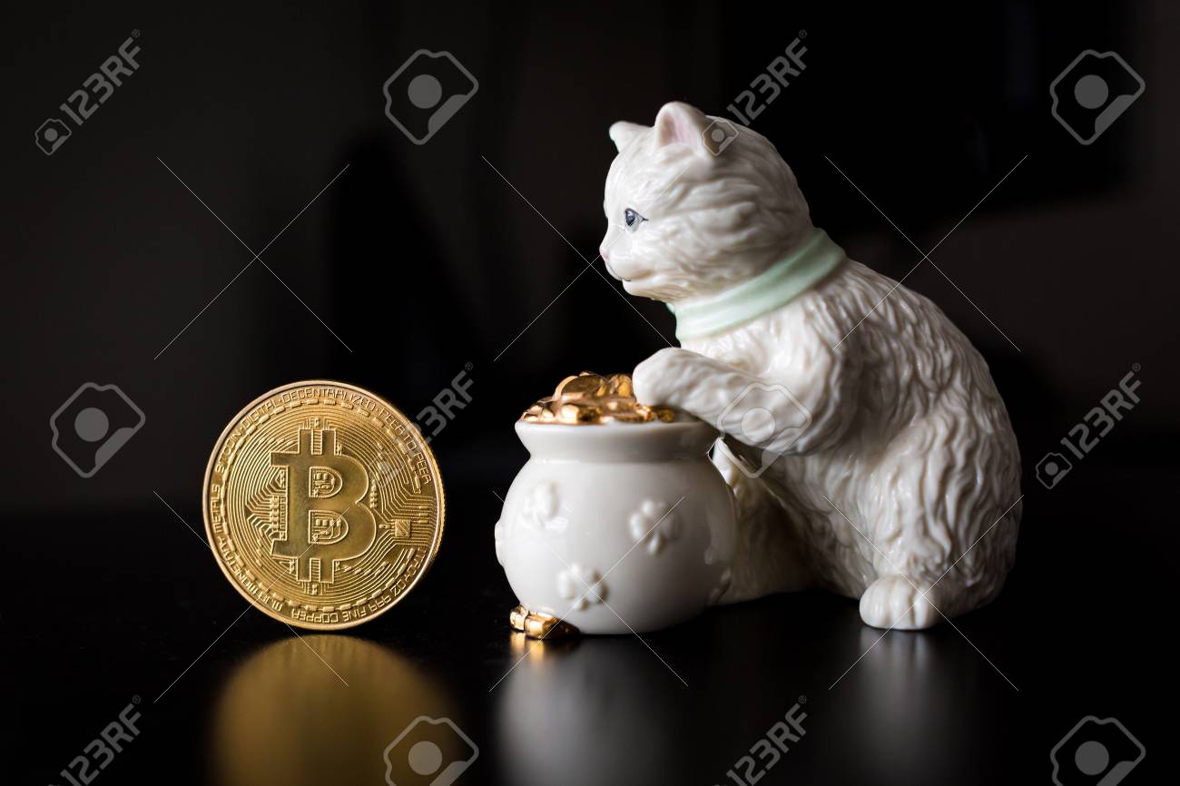 猫と金のポットとビットコインの単一のコインの写真素材・画像素材 Image 92704868