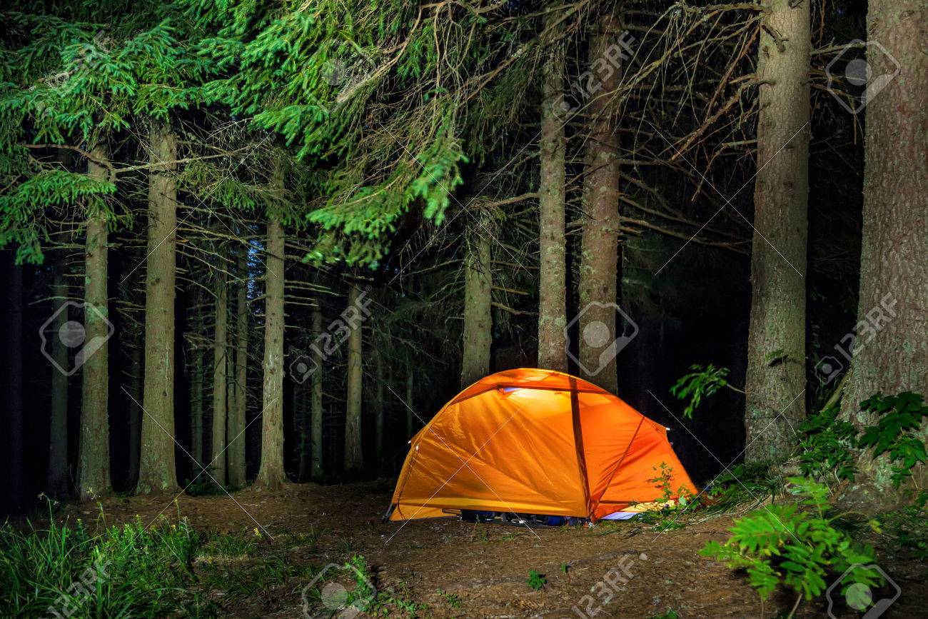 Night Landscape Tent Forest Near Lake Stock Photo 1163479150 | Shutterstock, image size:1300x867