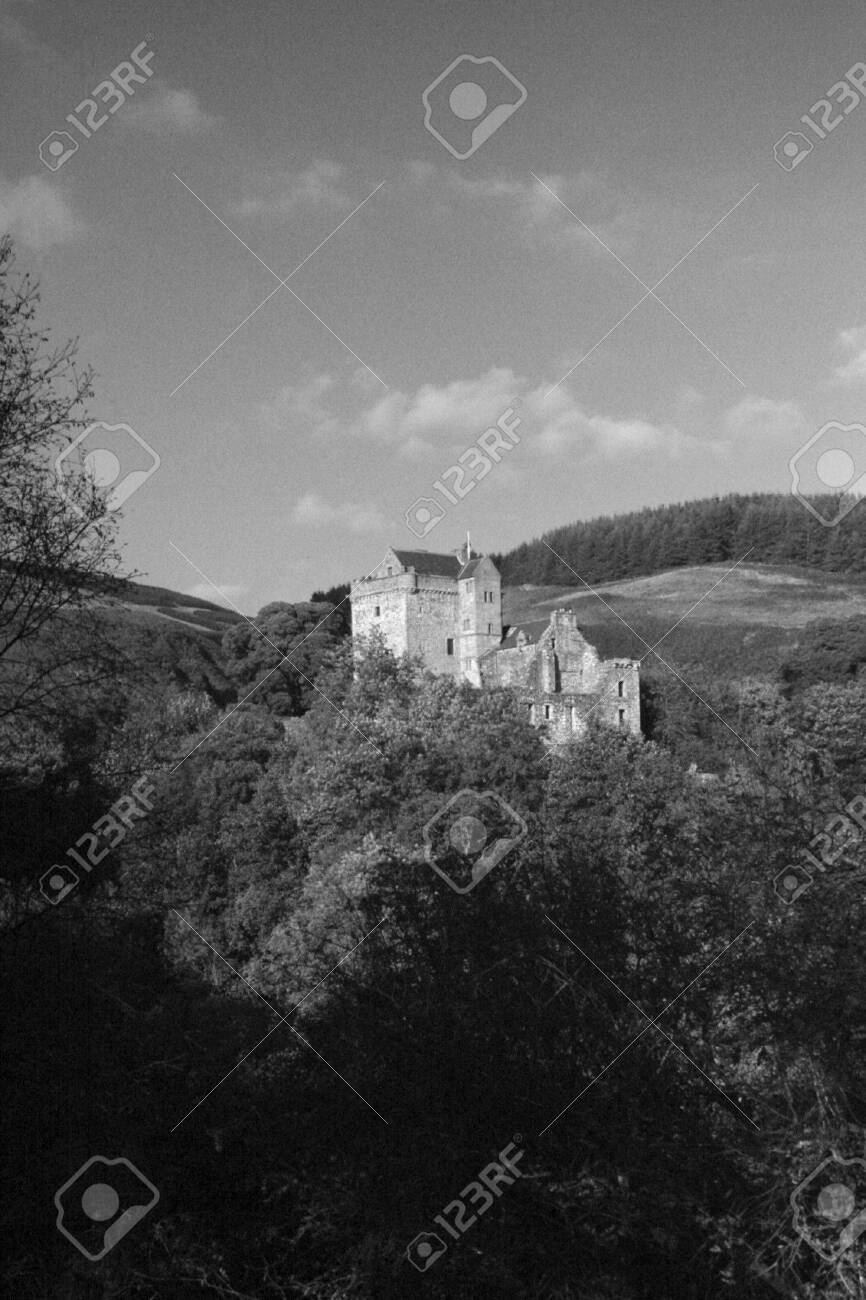 etiam-dictum-ipsum-a-felis