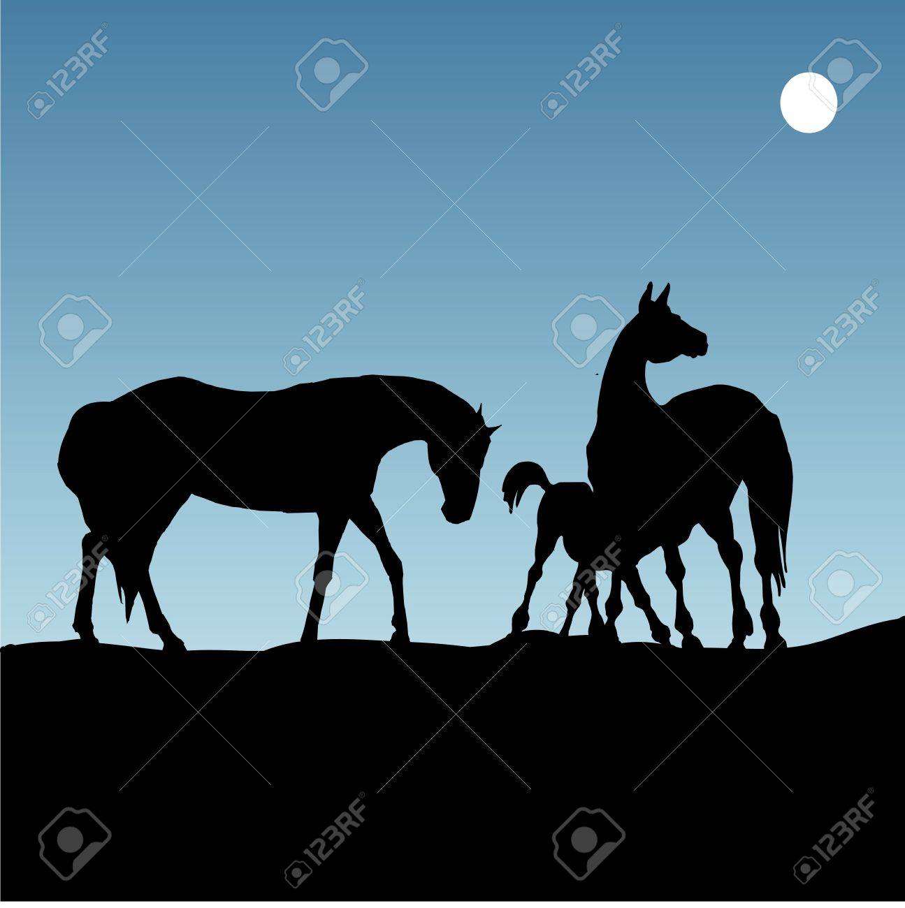 夜の図で馬のシルエットのイラスト素材・ベクター Image 13698824