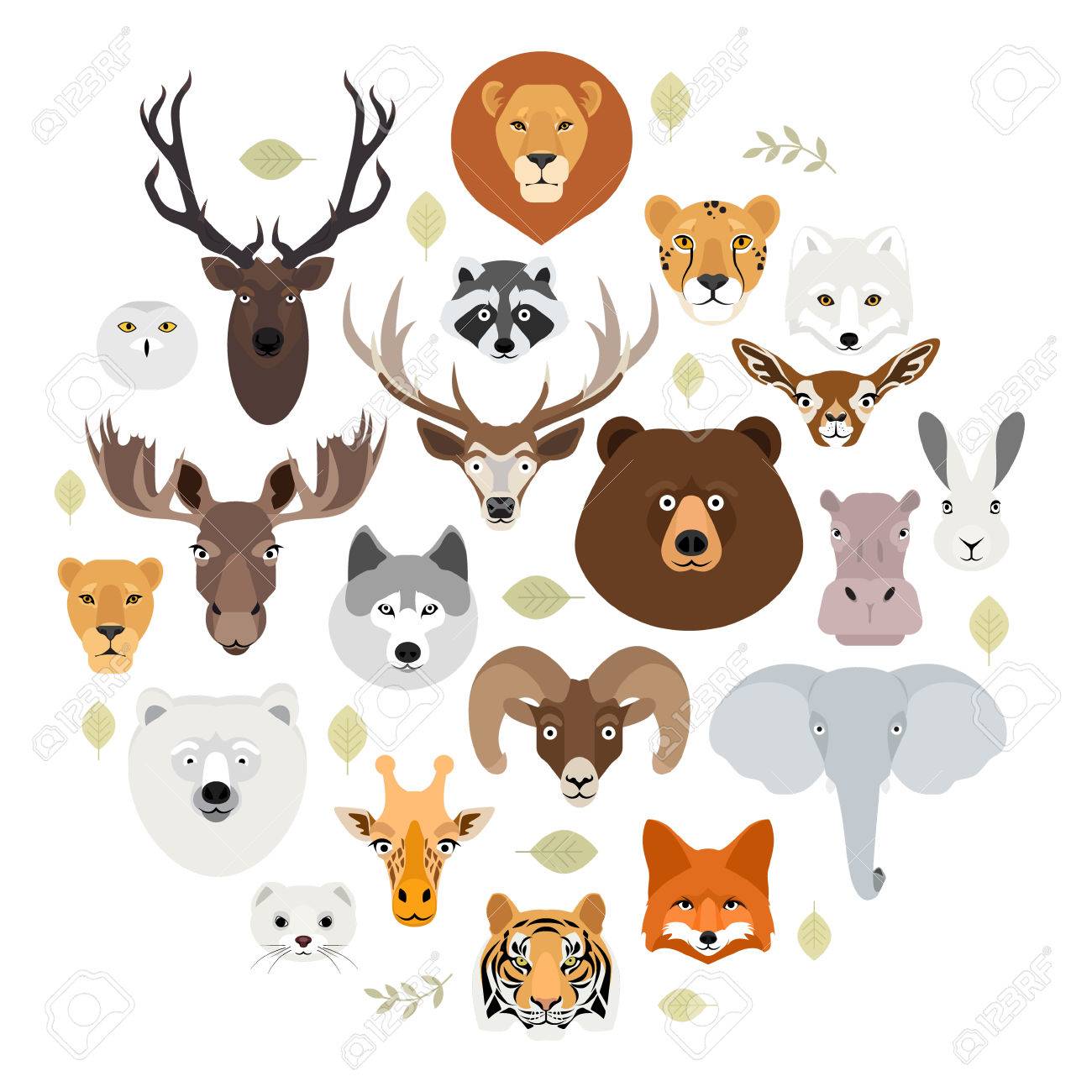 big animal face icon