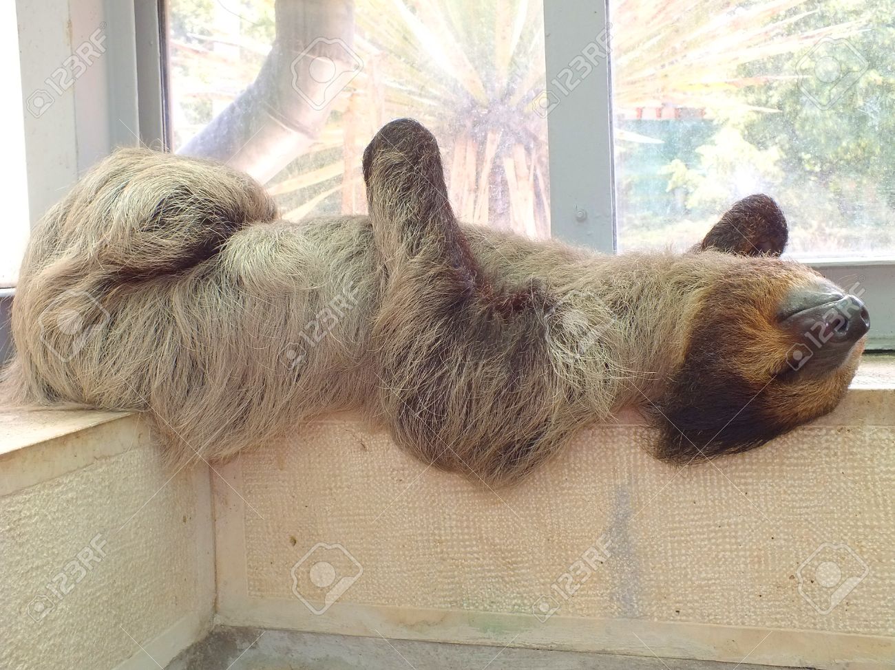 etiam-dictum-ipsum-a-felis