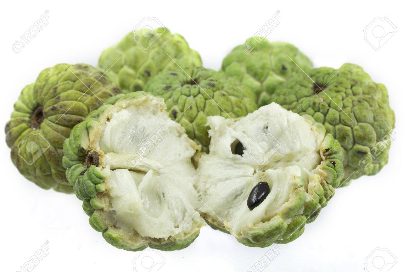 Archivo Chirimoya Annona Cherimola Mill Fruta Jpg Wikipedia La Enciclopedia Libre