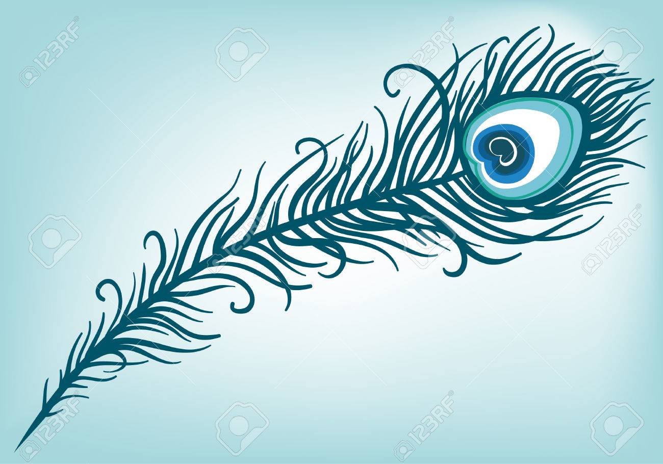 白い背景 ベクトル の上の美しい孔雀の羽のイラスト のイラスト素材 ベクタ Image