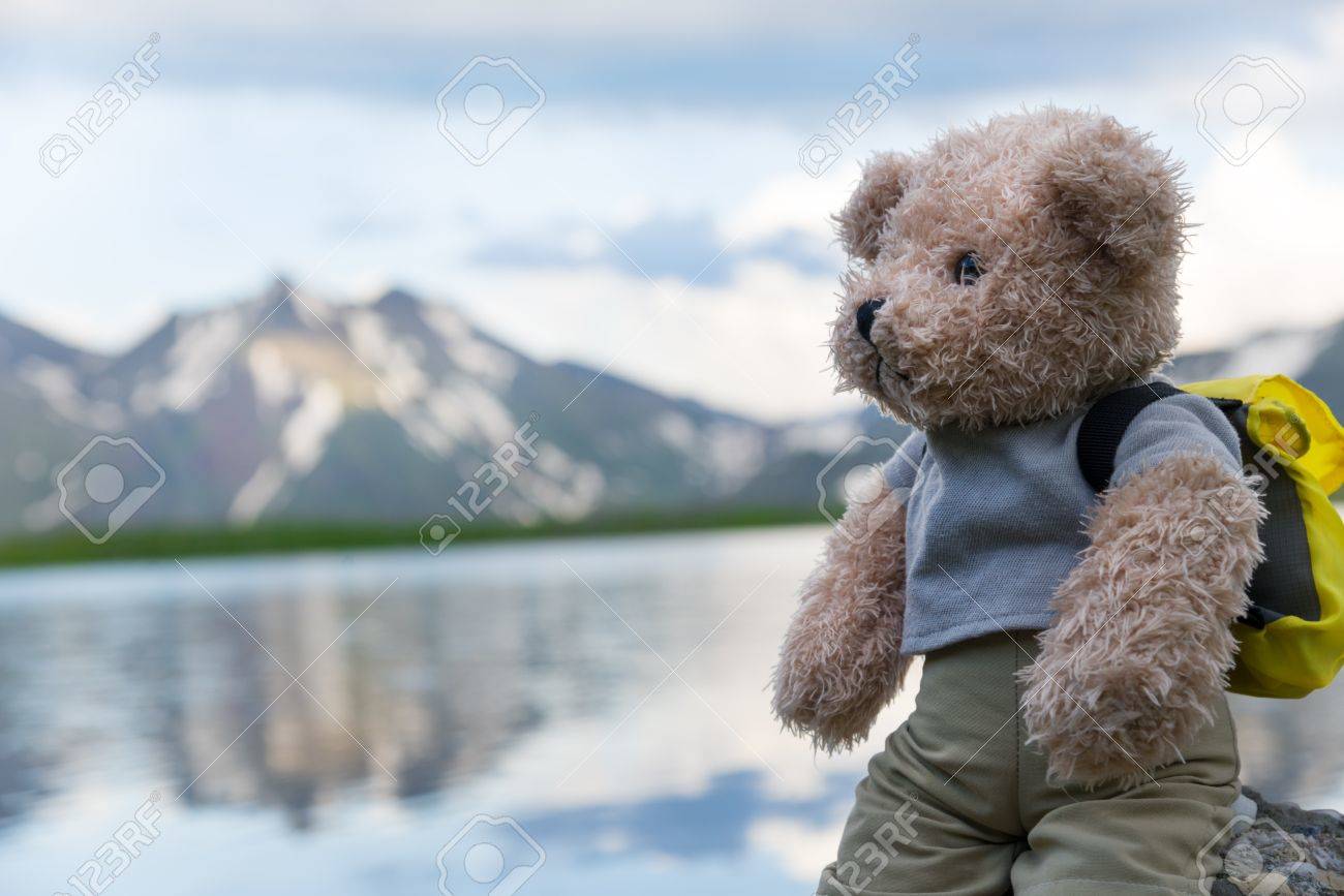 teddy bear mountain