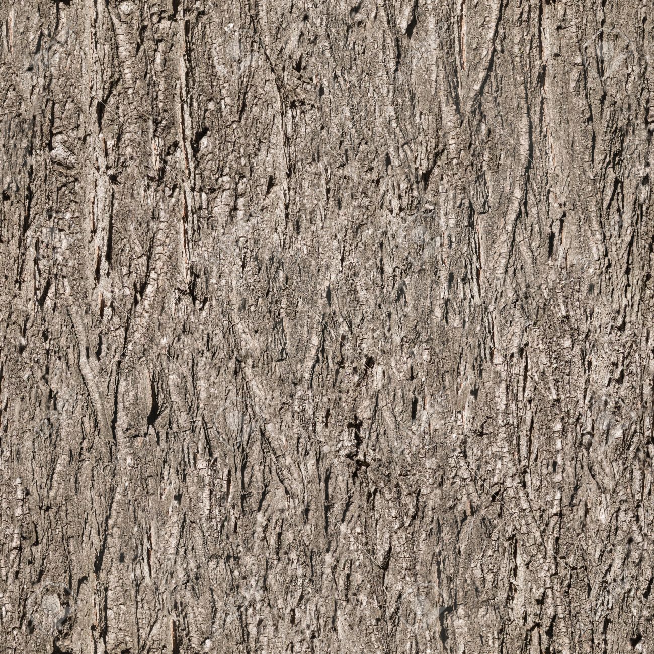 seamless bark tree texture - 34293697 seamless bark tree texture - 34293697