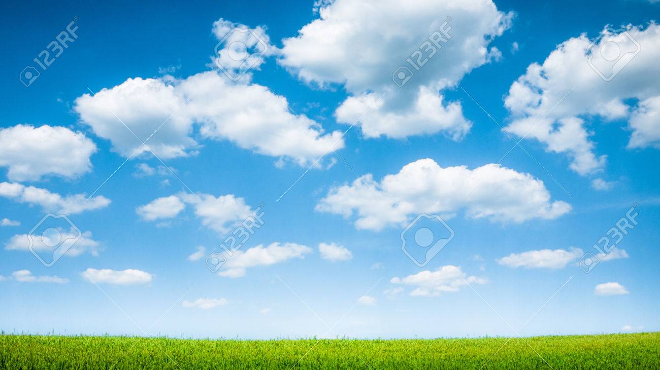 blue sky and summer green field landscape - 72510658 blue sky and summer green field landscape - 72510658
