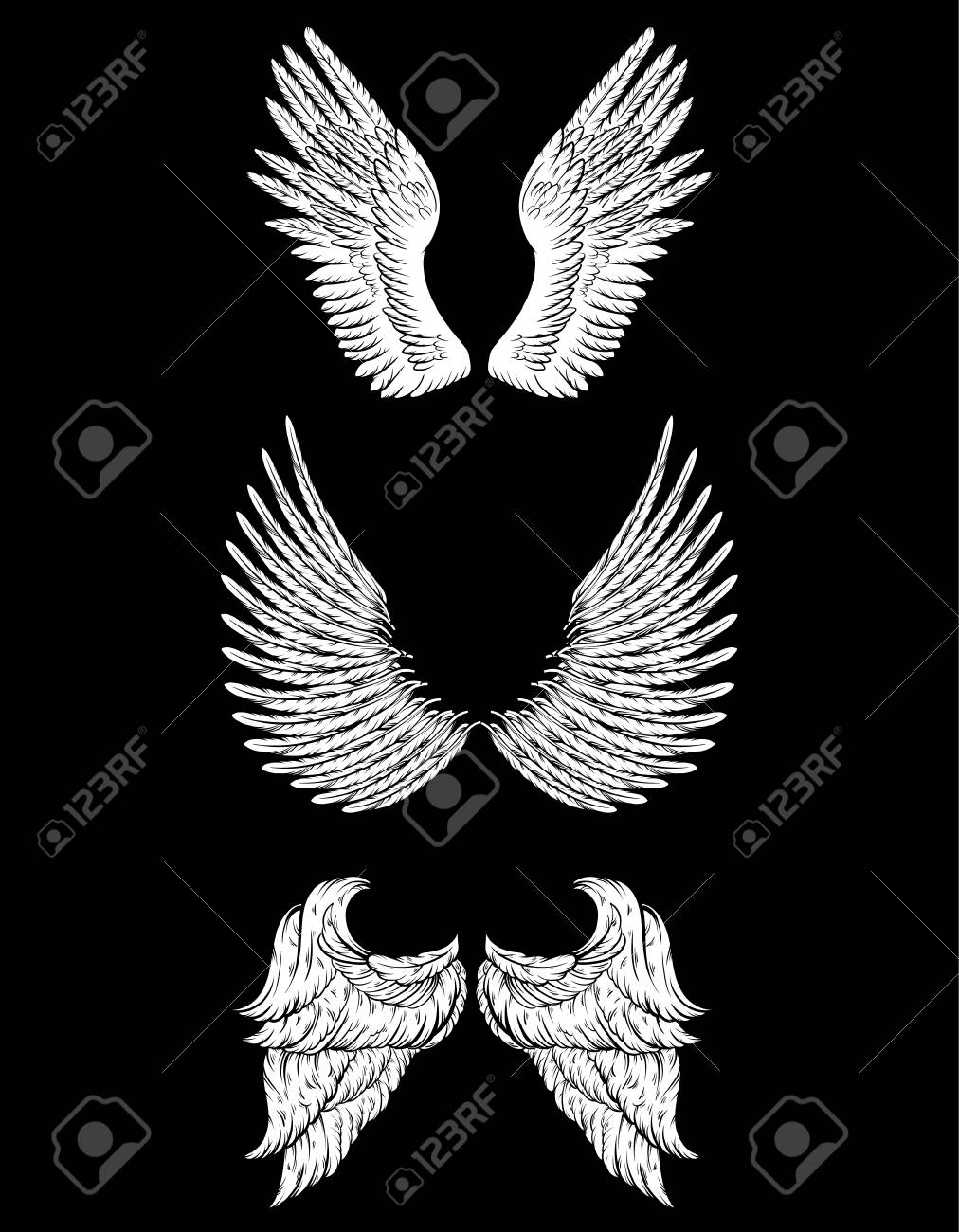 vector hand drawn illustration of different wings template for