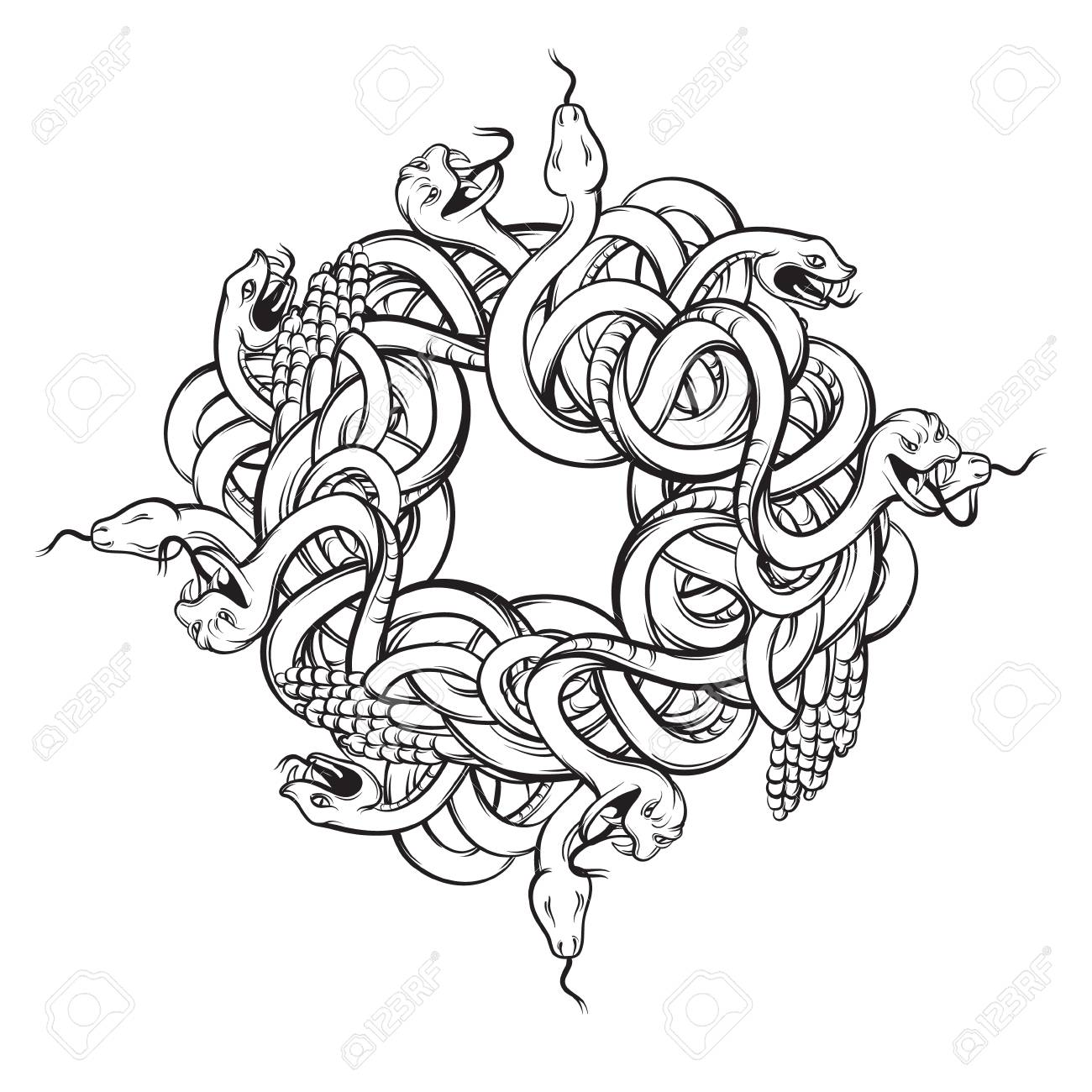 怒ったヘビの束を持つベクトル手描きのイラスト リアルなラインスタイルでガラガラヘビのアートワーク Tシャツ用ポストカードバナーポスタープリント用テンプレート のイラスト素材 ベクタ Image 怒ったヘビの束を持つベクトル手描きのイラスト リアルなラインスタイルでガラガラヘビのアートワーク Tシャツ用ポストカードバナーポスタープリント用テンプレート のイラスト素材 ベクタ Image
