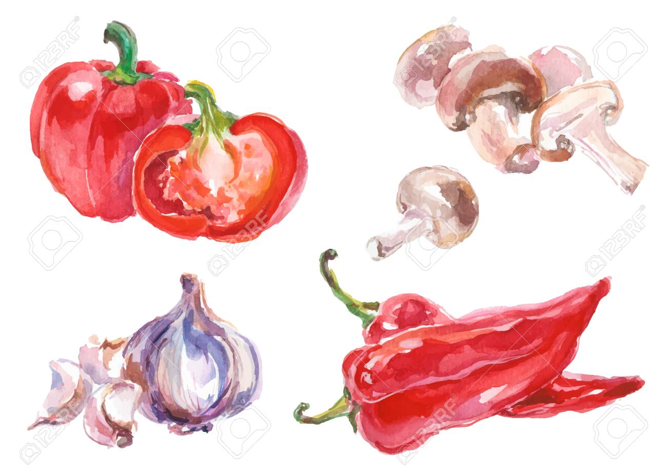 Aquarell Gemalt Sammlung Von Gemuse Hand Frische Lebensmittel Design Elemente Isoliert Auf Weissen Hintergrund Gezeichnet Lizenzfrei Nutzbare Vektorgrafiken Clip Arts Illustrationen Image