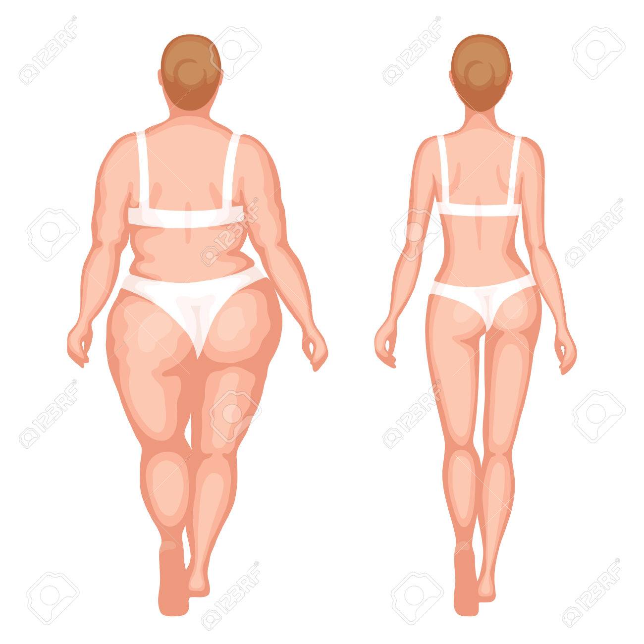 肥満女性は 白い下着姿で細身の女性 背面図 健康的なライフ スタイルと不健康なライフ スタイル コンセプトのイラスト素材 ベクタ Image