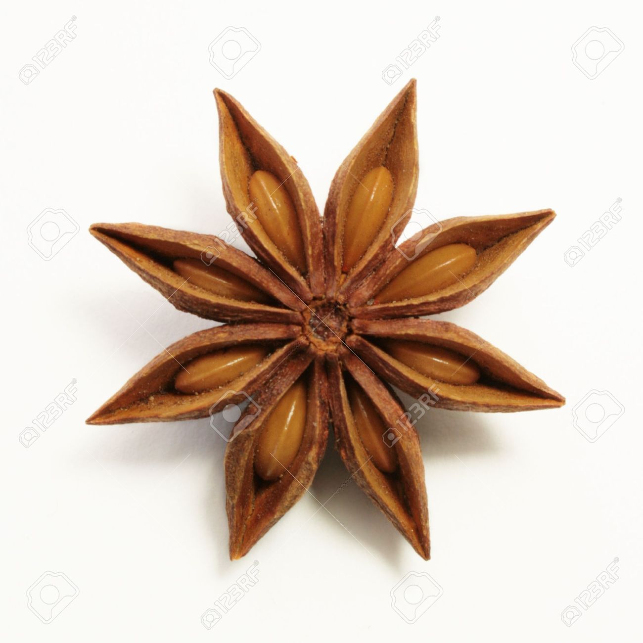 perfect anis star on white background stock photo picture and