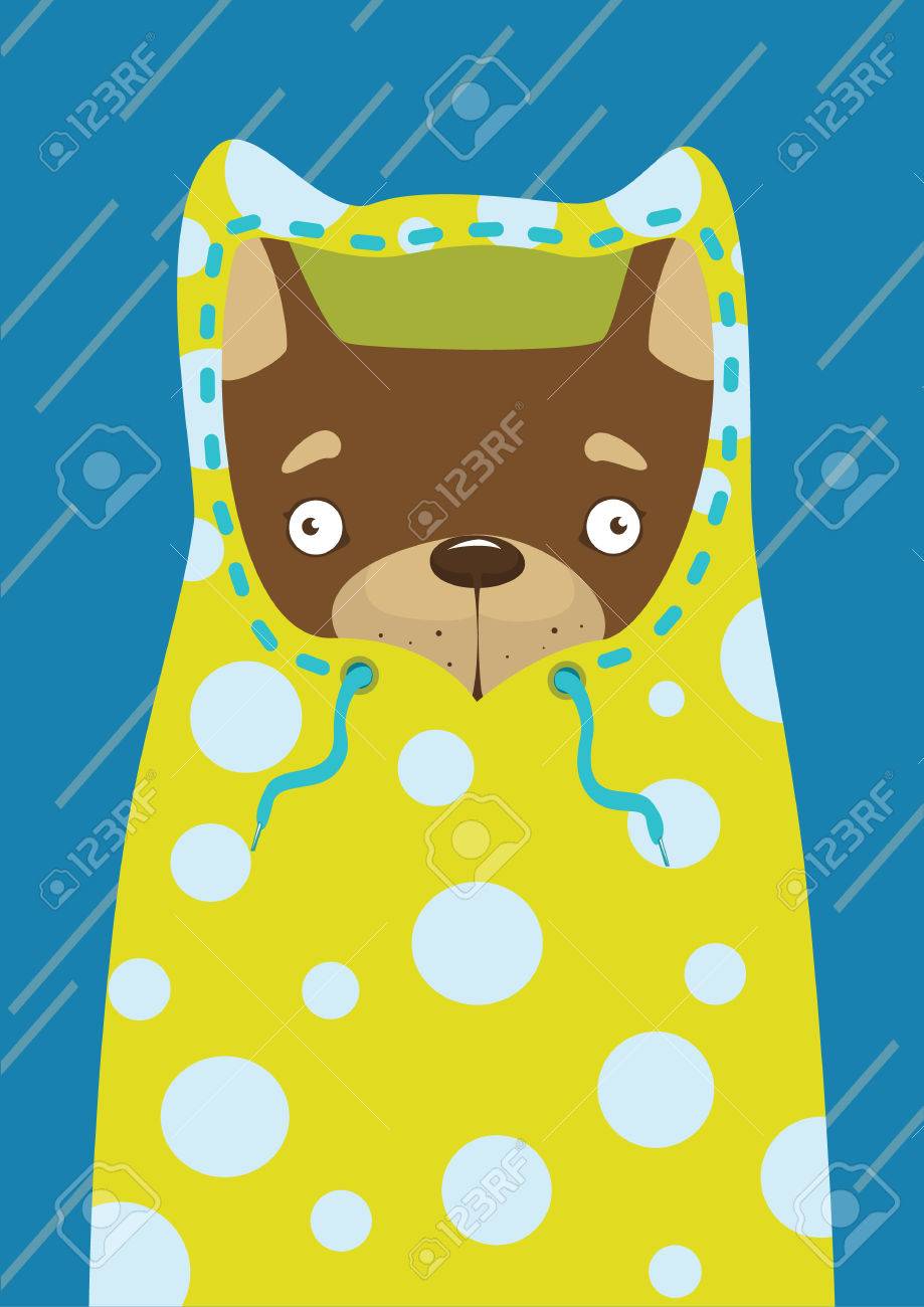 雨の中 レインコートで小さな犬 のイラスト素材 ベクタ Image 6504