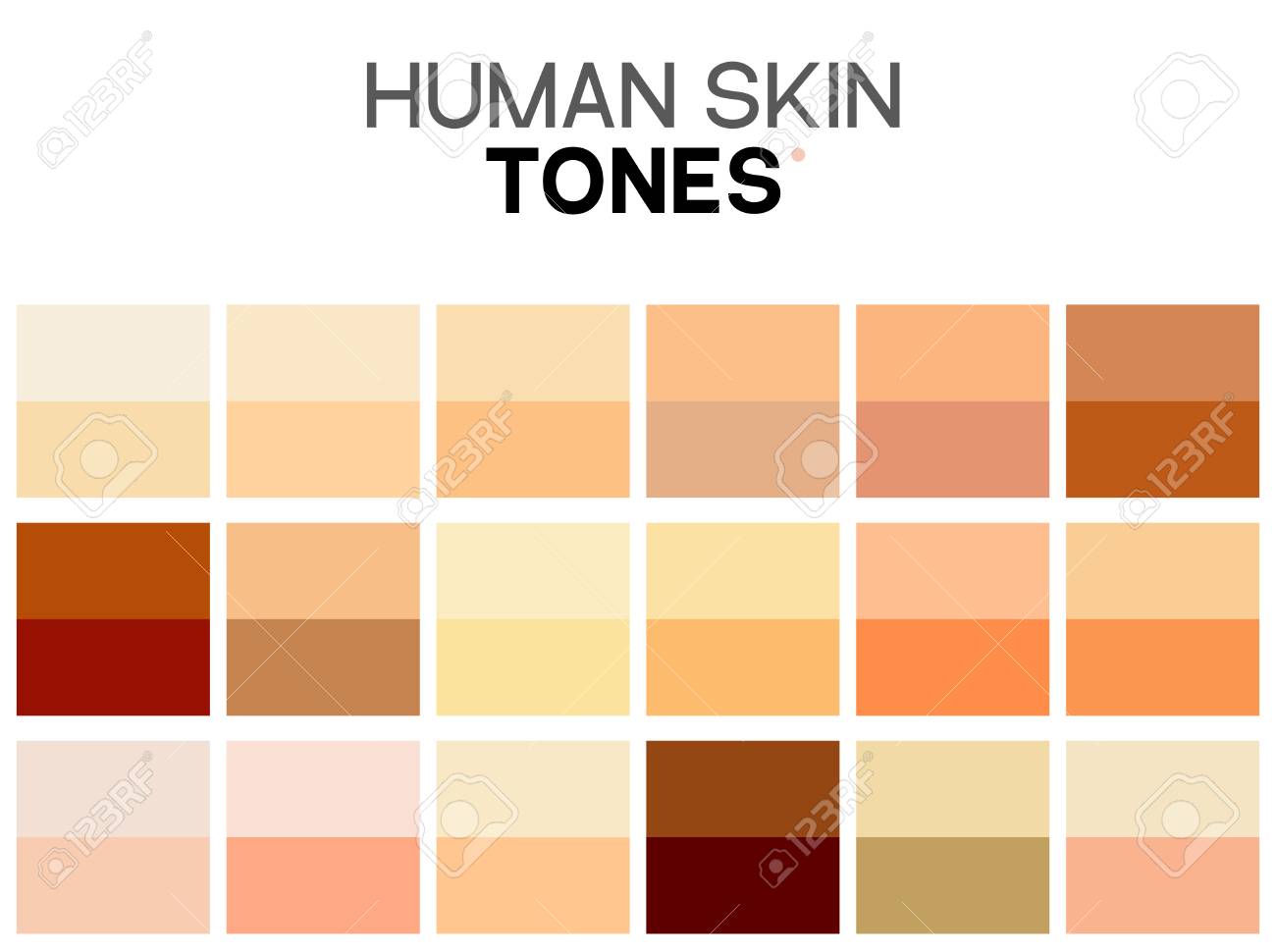 Skin Complexion Color Chart