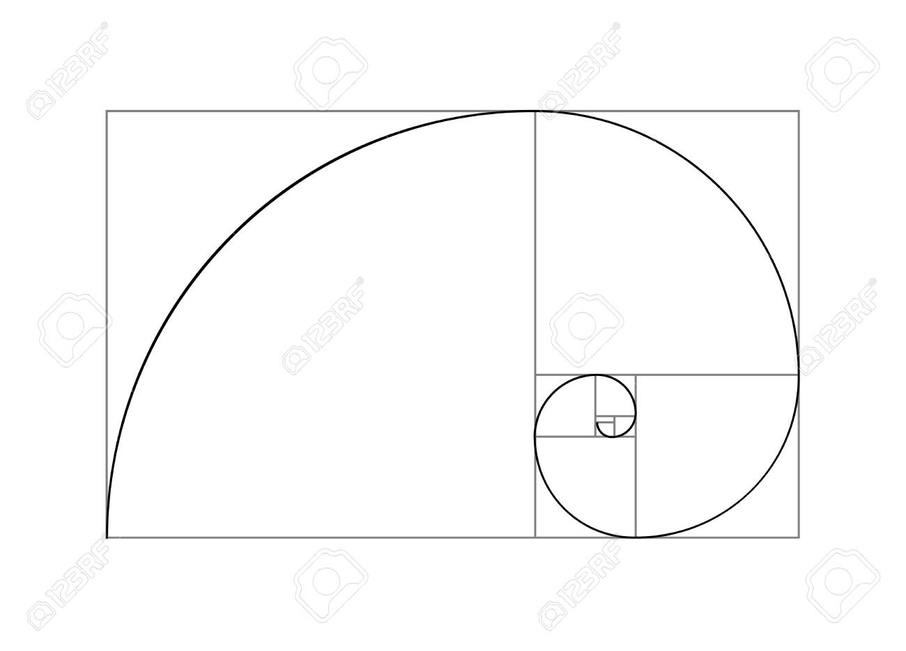 Golden ratio vector proportion spiral section. Fibonacci golden ratio geometry - 144227628 Golden ratio vector proportion spiral section. Fibonacci golden ratio geometry - 144227628