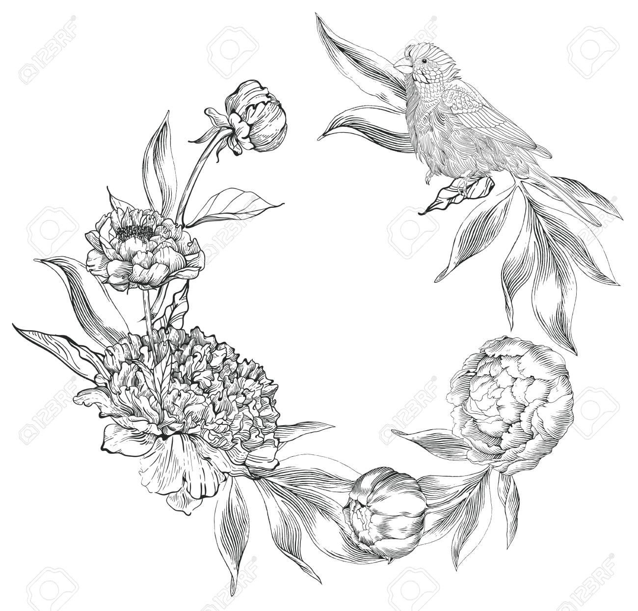 インクは手華やかな牡丹の描き下ろしイラストです 花蕾 葉と茎と鳥 美しいカード デザイン のイラスト素材 ベクタ Image