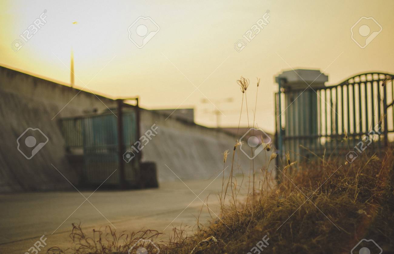 etiam-dictum-ipsum-a-felis