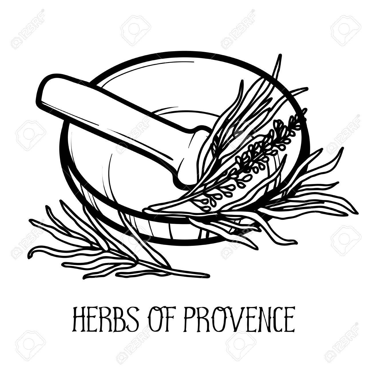 Mortar And Pestle. Linear Logo Illustration. Cooking Utensils ... for Mortar And Pestle Drawing
59jwn Mortar And Pestle. Linear Logo Illustration. Cooking Utensils ... for Mortar And Pestle Drawing
59jwn