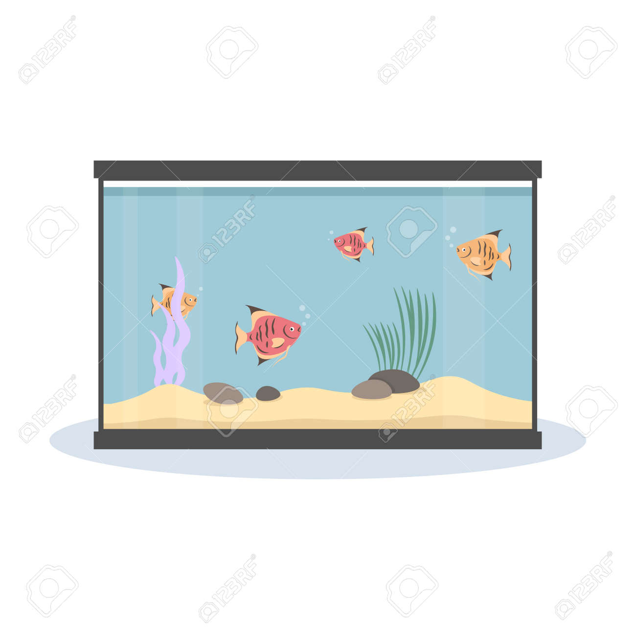cute fish tanks