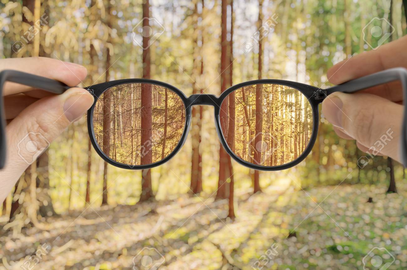 view through sunglasses