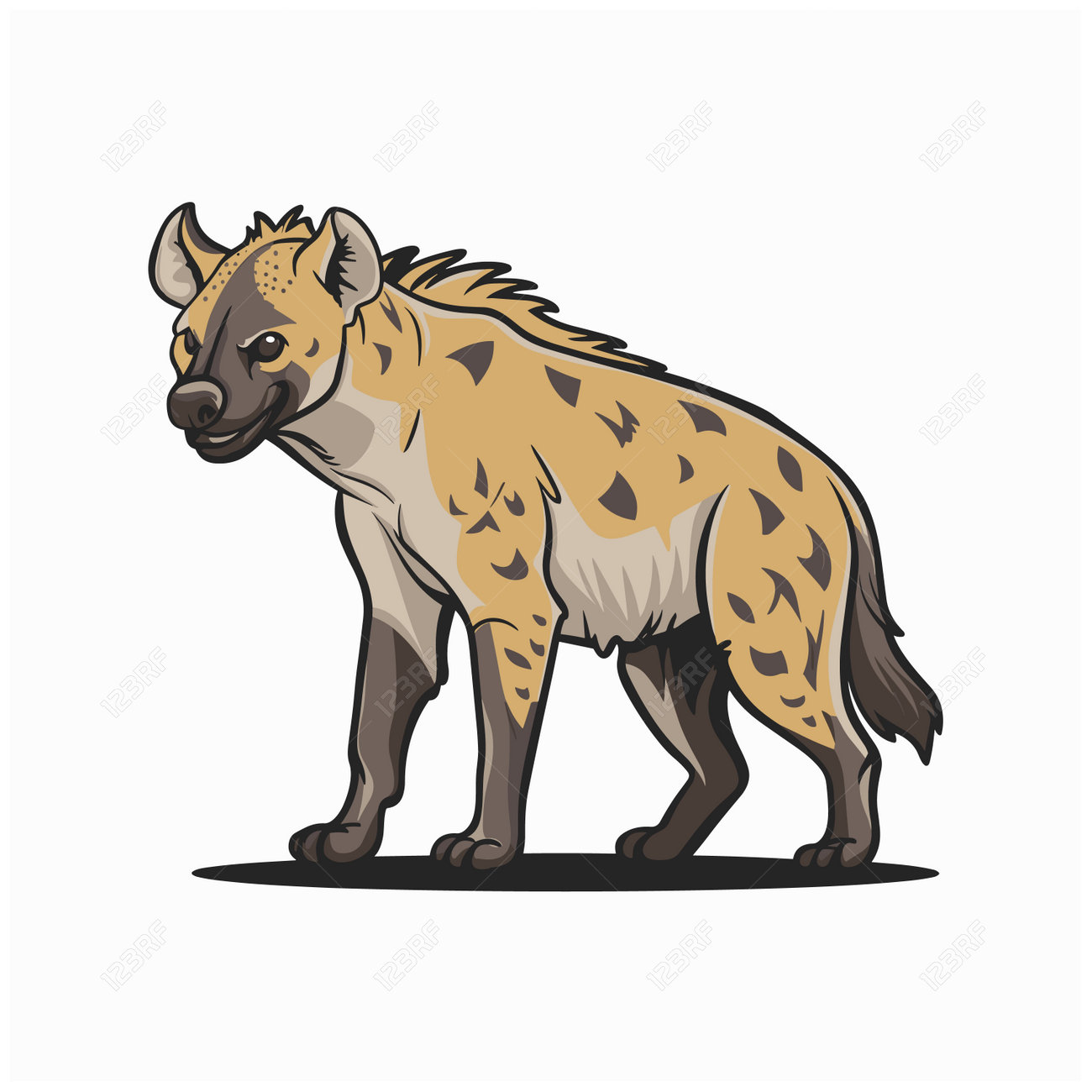 etiam-dictum-ipsum-a-felis