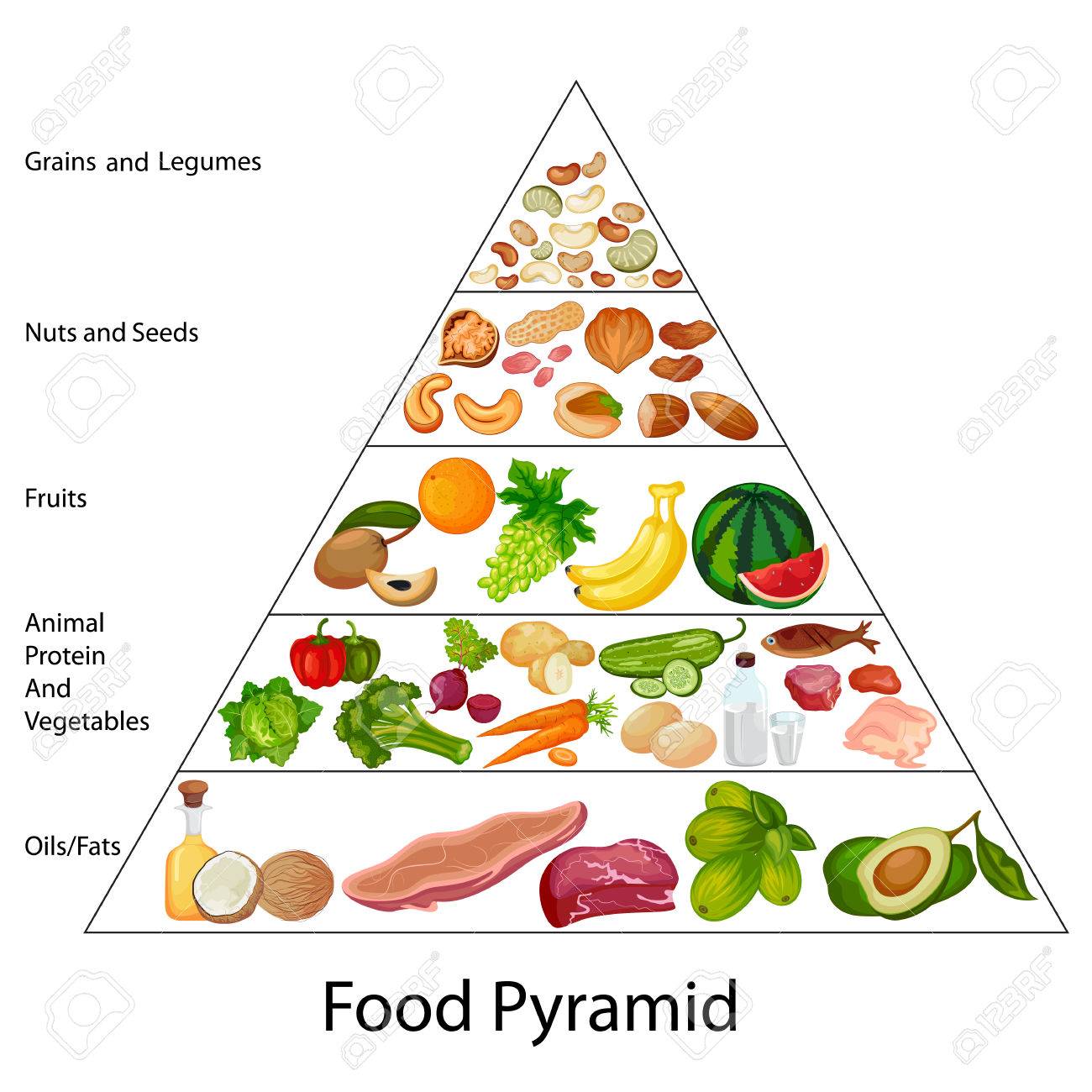 Carta Educativa Del Diagrama De La Pirámide Alimenticia Ilustraciones Vectoriales Clip Art Vectorizado Libre De Derechos Image 80714977