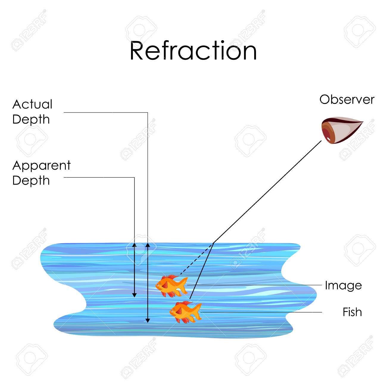 Chart For Physics