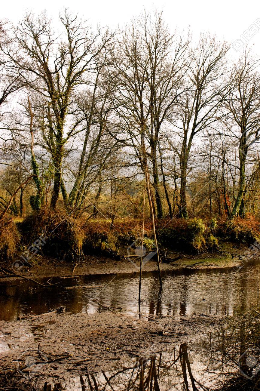 Winter landscape near Lima river in Viana do Castelo - 43424416 Winter landscape near Lima river in Viana do Castelo - 43424416