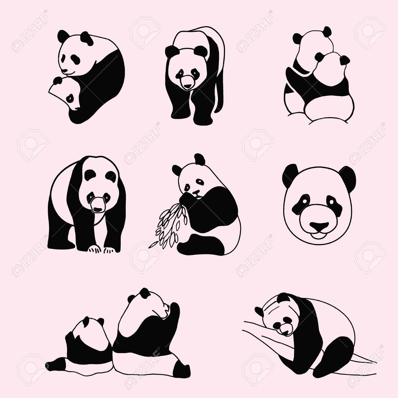 Ilustracion Del Vector De Un Oso Panda El Panda Gigante Ilustraciones Vectoriales Clip Art Vectorizado Libre De Derechos Image
