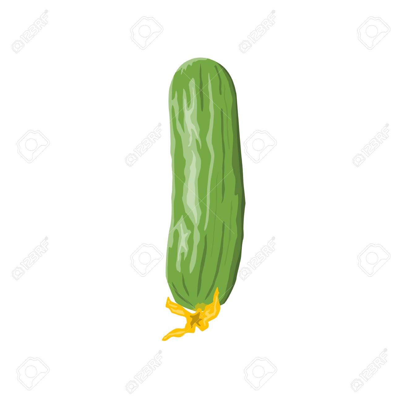 白い背景の上にキュウリのベクター イラストです 野菜や園芸トピック のイラスト素材 ベクタ Image